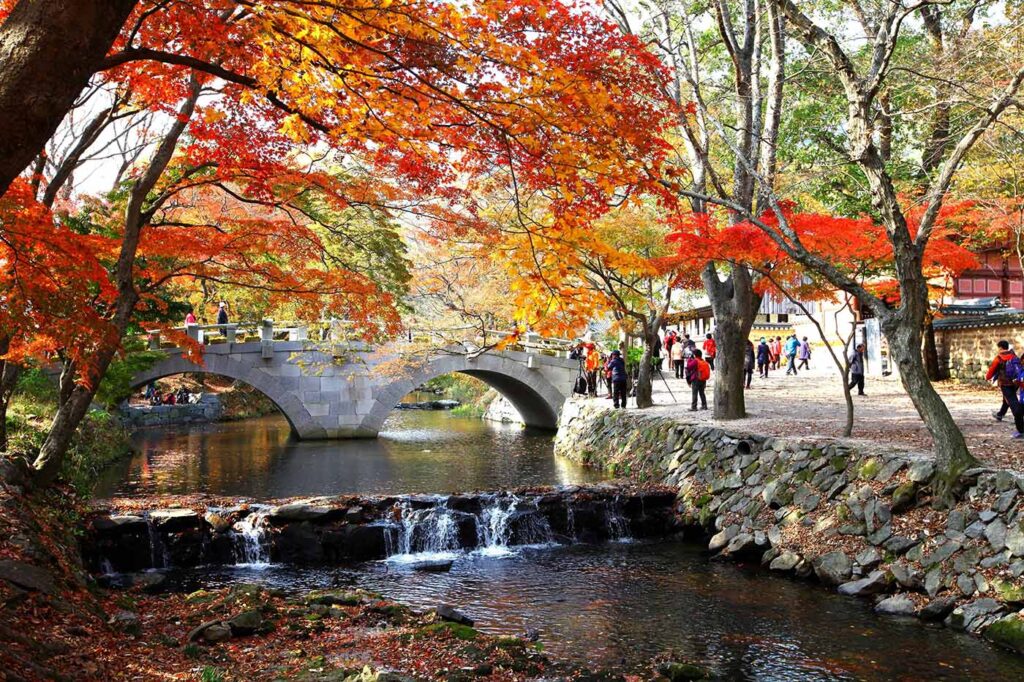 benessere-in-corea-del-sud-beauty-e-lifestyle-il-viaggiatore-magazine-cinque