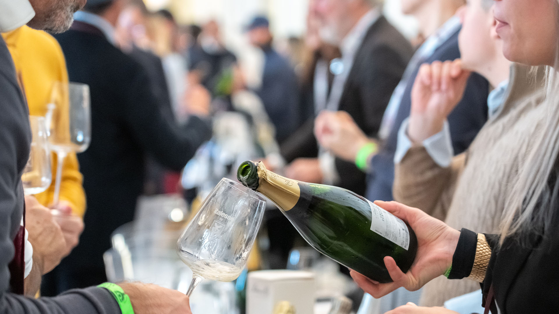 Merano-Wine-Festival-enogastronomia-e-dintorni-il-viaggiatore-magazine-copertina