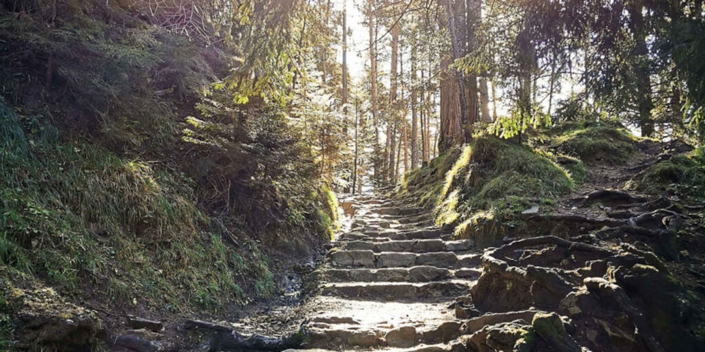 Vacanza allo Sciliar alberghi & location il viaggiatore magazine bosco