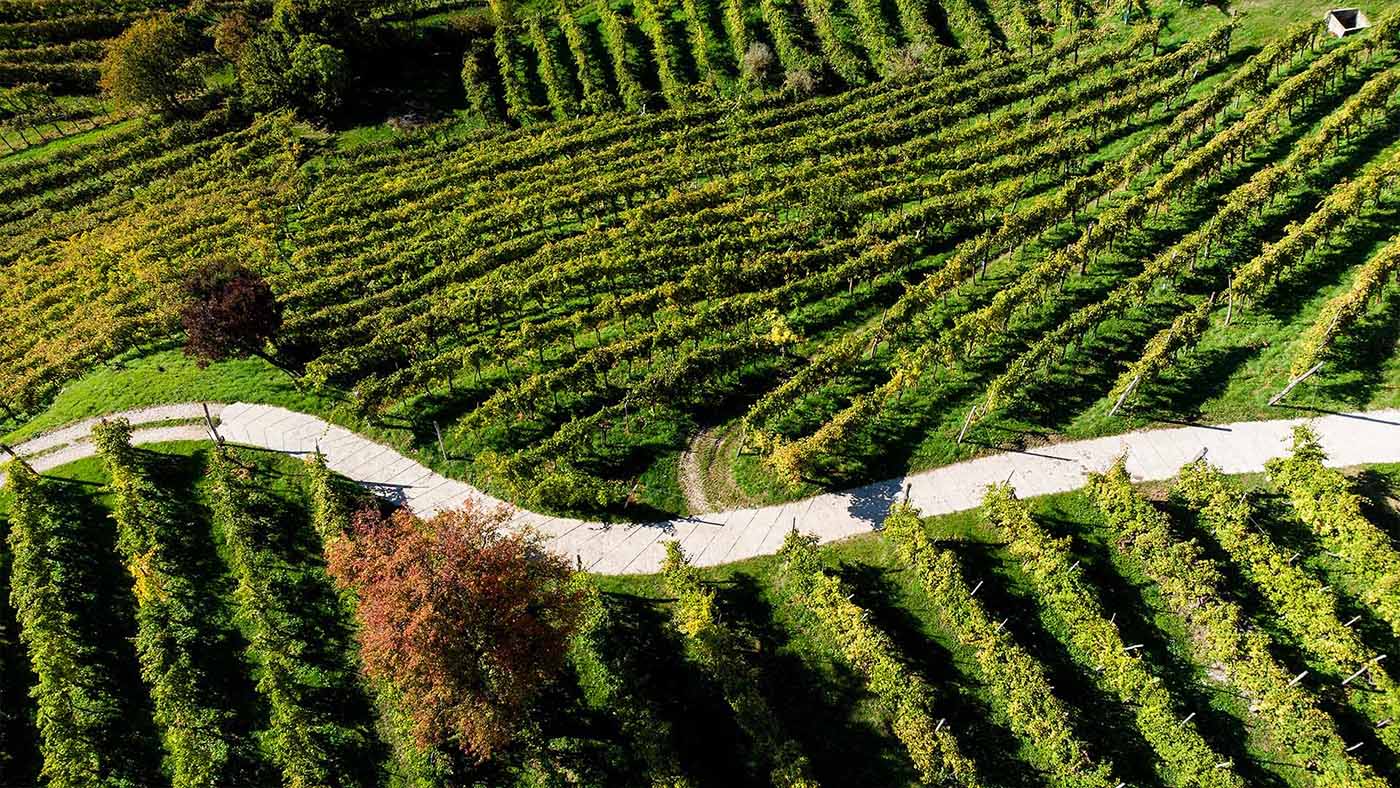 colline-del-prosecco-enogastronomia-e-dintorni-il-viaggiatore-magazine-copertina